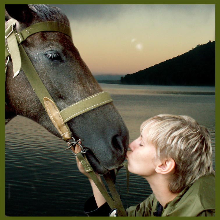 Іпотерапія. Диво спілкування з конями. здоров'я, іпотерапія, коні, лікування, спілкування